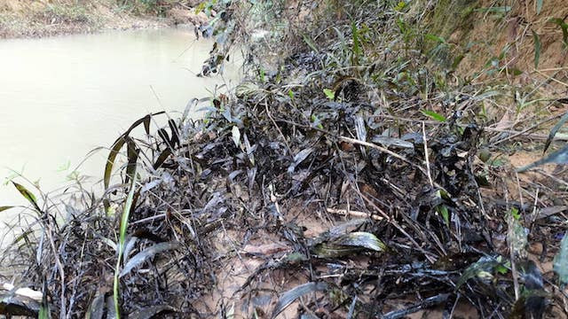 Phát hiện 200 lít dầu thải đổ ở đầu nguồn sông Hiếu ảnh 1