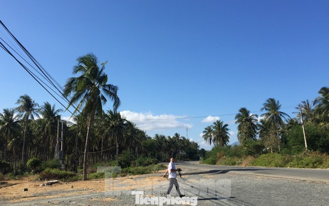 Đảo ngọc Phú Quốc bị 'băm nát', xử lý cao ốc 'dát vàng' gây nhức mắt ảnh 1