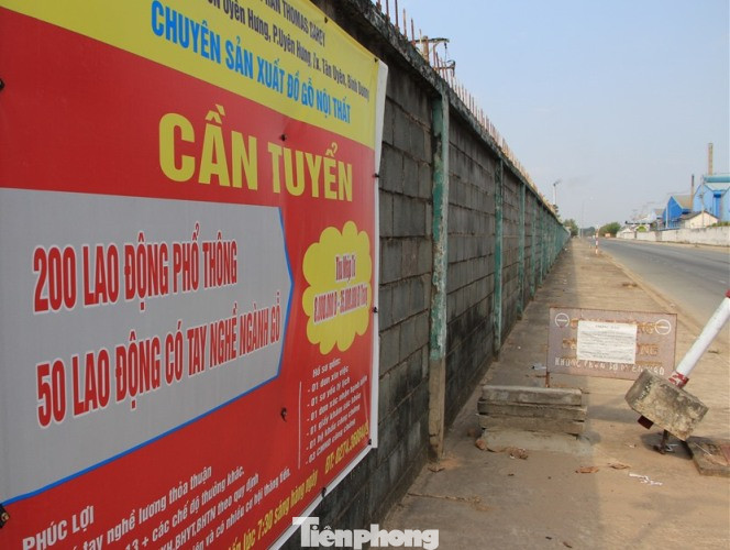 Doanh nghiệp ở Bình Dương ‘khát’ lao động sau dịch COVID-19 ảnh 1