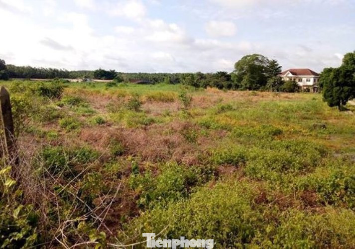 Hủy tạm giam 3 cán bộ liên quan vụ cựu Bí thư Bến Cát mua đất ảnh 3