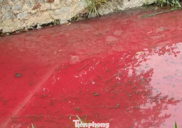 Con suối xuất hiện màu đỏ như máu ở Bình Dương ảnh 1