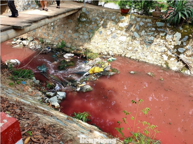 Con suối xuất hiện màu đỏ như máu ở Bình Dương ảnh 5