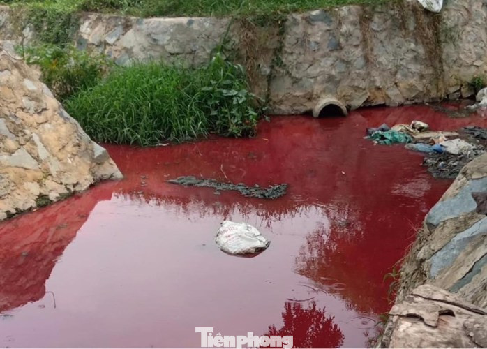 Con suối xuất hiện màu đỏ như máu ở Bình Dương ảnh 3
