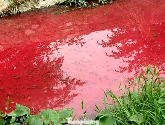 Cơ quan chức năng nói gì vụ suối nước màu đỏ kỳ lạ ở Bình Dương? ảnh 2