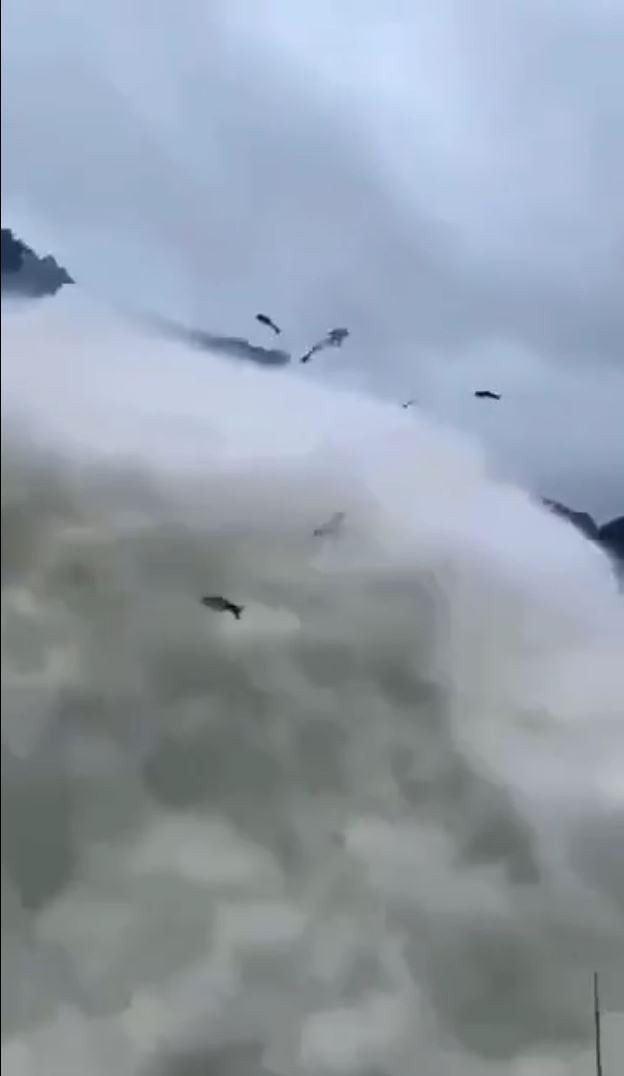 Trung Quốc: Kinh hoàng đập thủy điện xả lũ cao 108m, cá to “bay rợp trời” ảnh 1