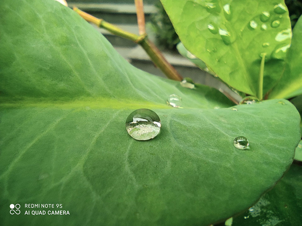 Redmi Note 9s vs. Galaxy M31: “Mãnh thú” nhà Xiaomi và Samsung khác nhau như thế nào? ảnh 22