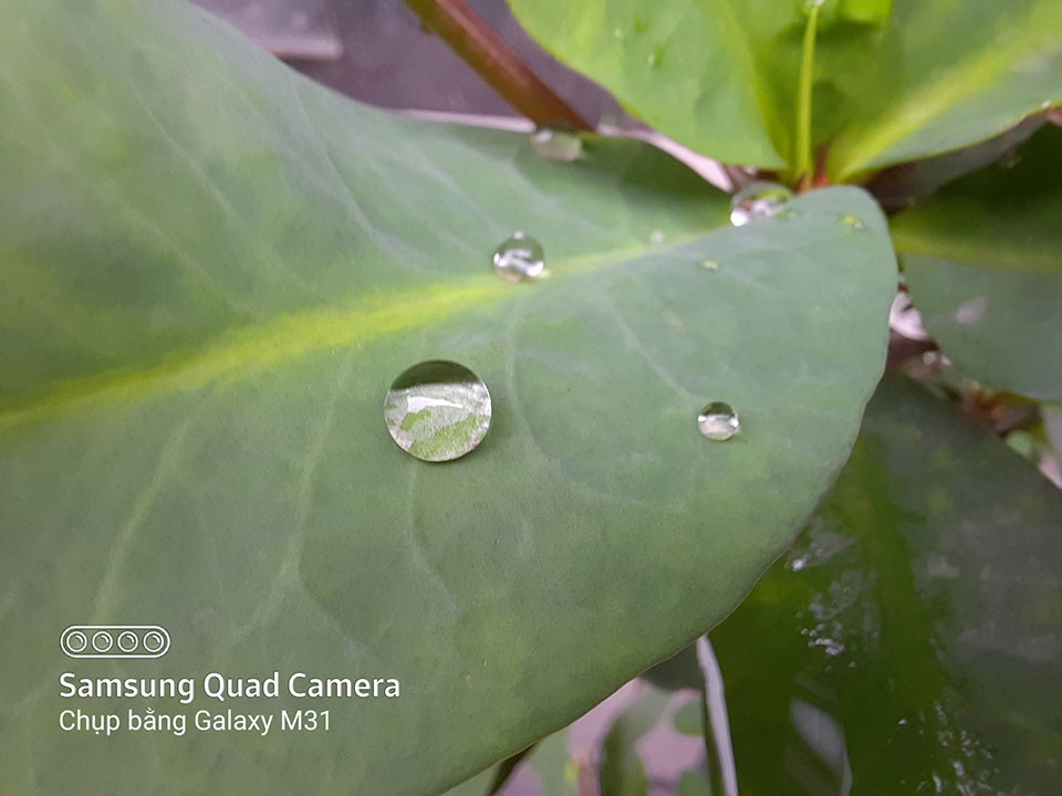 Redmi Note 9s vs. Galaxy M31: “Mãnh thú” nhà Xiaomi và Samsung khác nhau như thế nào? ảnh 21