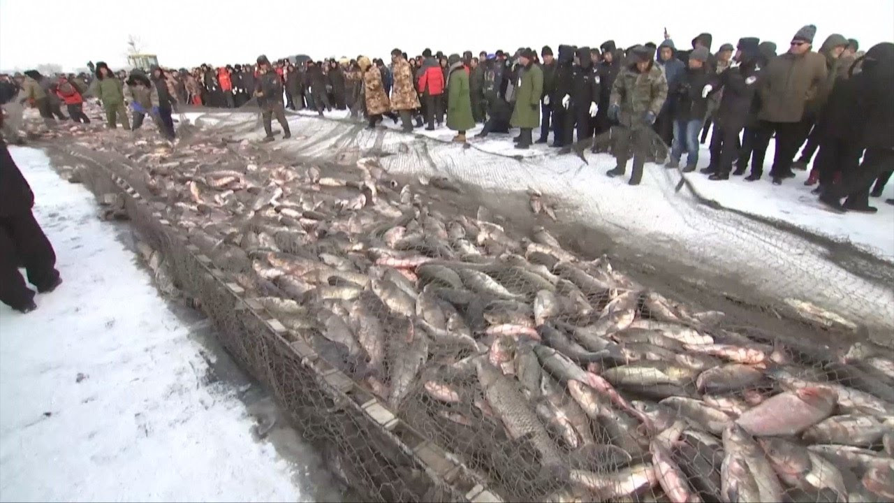 Độc đáo lễ hội khoan băng bắt cá ở Trung Quốc ảnh 7