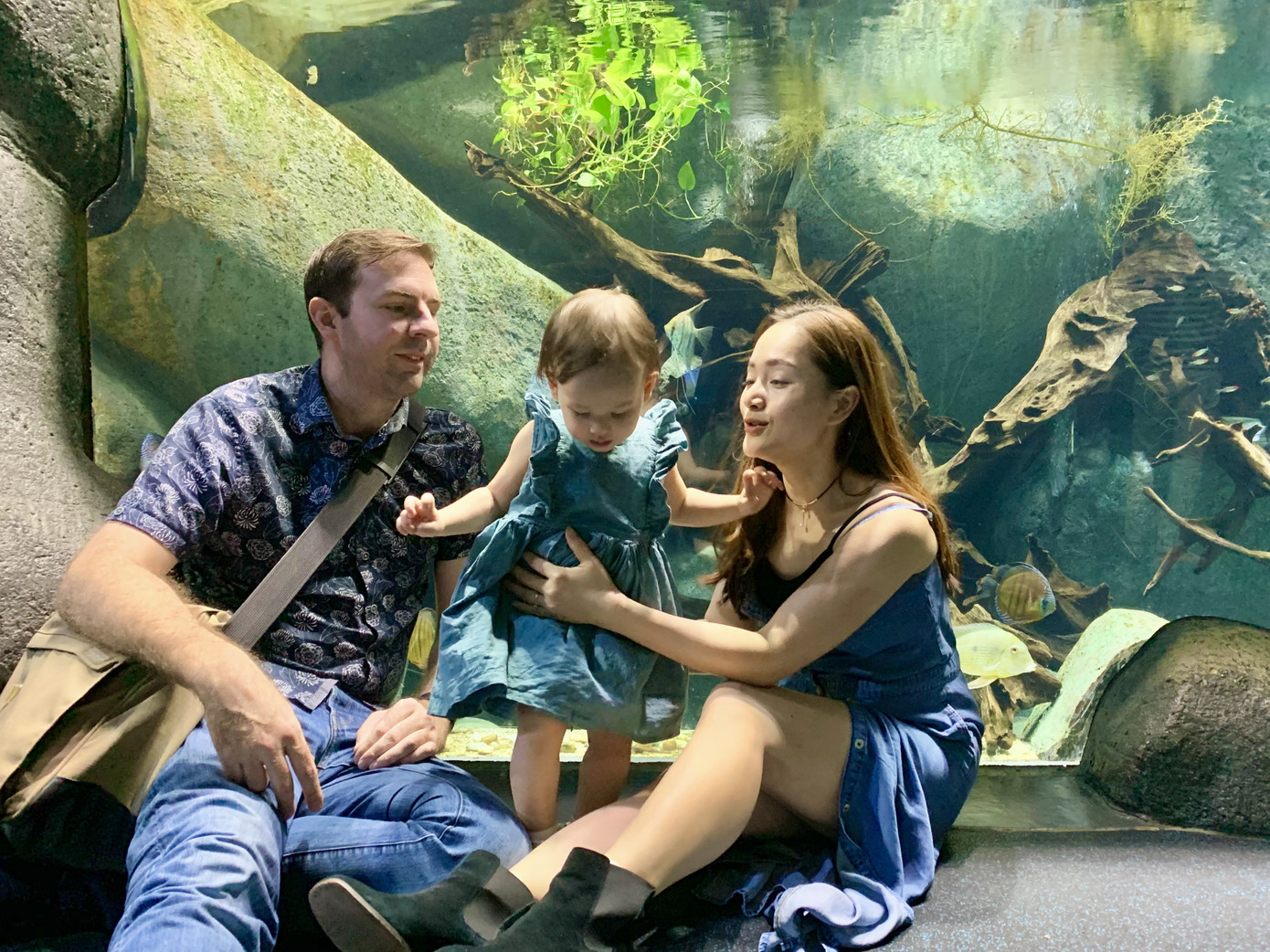 Lan Phương gay gắt phản đối Quỷ Núi ở Đà Lạt ảnh 3