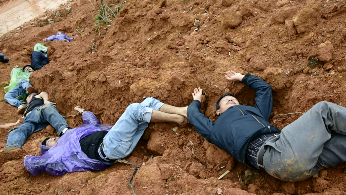 Hoa vẫn nở ảnh 1