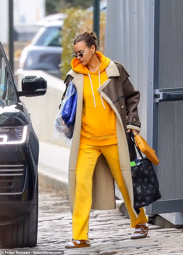 Mỹ nhân Nga Irina Shayk được bạn trai tin đồn đón đưa ảnh 1