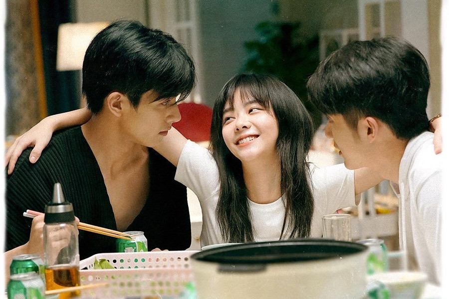 ''Lấy Danh Nghĩa Người Nhà'': Hạ Tử Thu gì cũng giỏi, chỉ không giỏi ''tán gái'' mà thôi ảnh 1