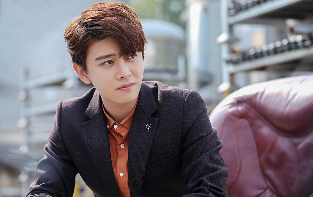 Sao nam Hoa ngữ chăm chỉ nhất năm 2020: Nhậm Gia Luân không có đối thủ ảnh 2