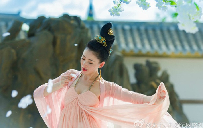 Dàn sao “Thái Tử Phi” bản Trung: Thịnh Nhất Luân tụt dốc, dàn phụ lại vô cùng thành công ảnh 1