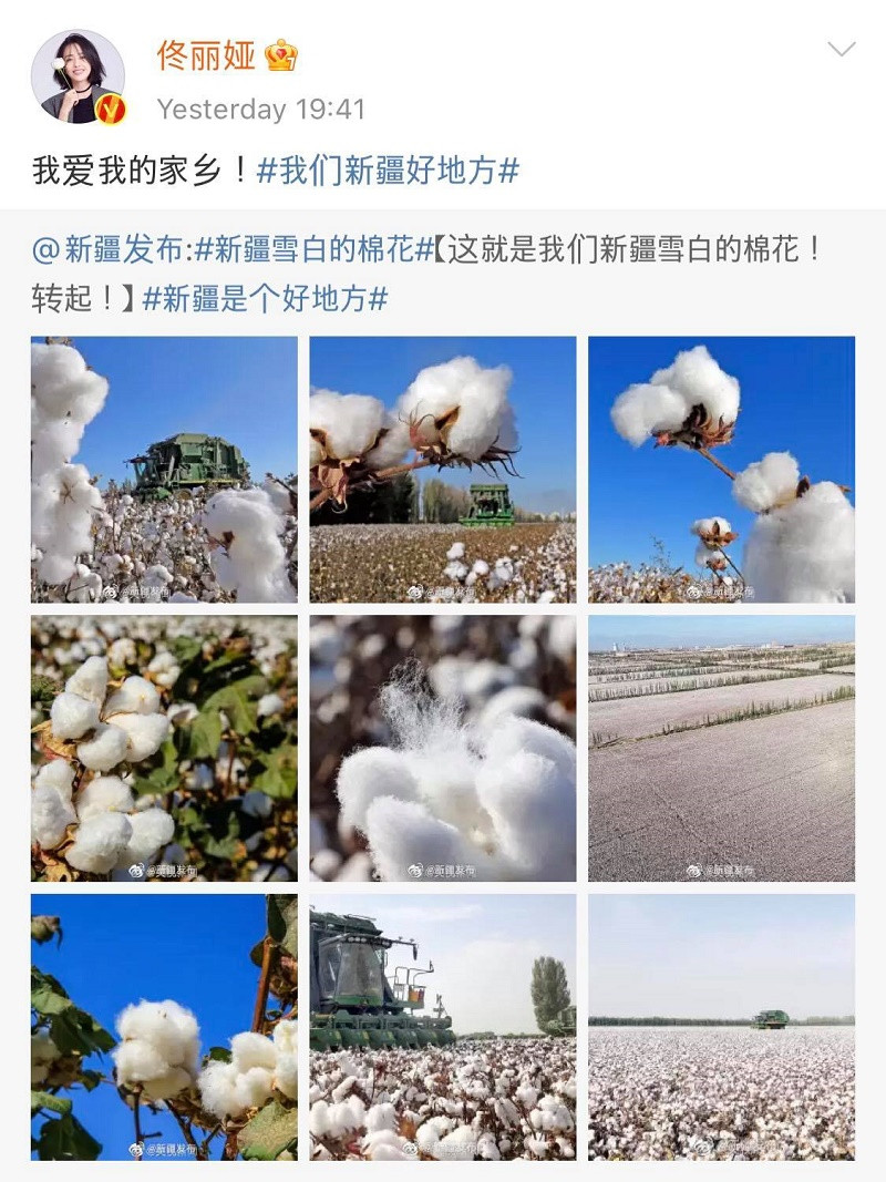 Kẹt giữa làn sóng tẩy chay thương hiệu, "Thanh 3" và "Sáng 4" có nguy cơ ngừng phát sóng? ảnh 2