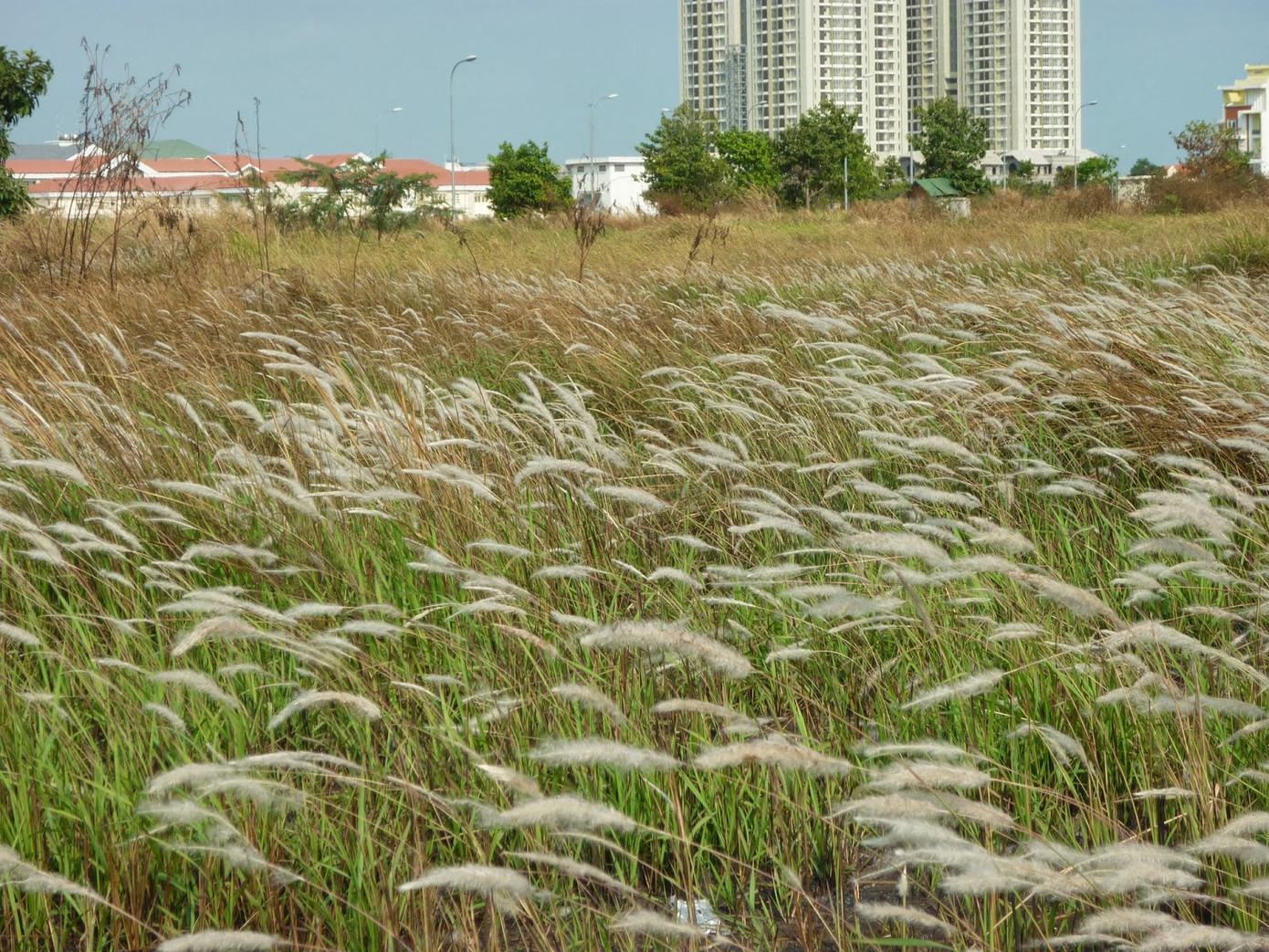 Sắc màu SV 8/7: 9X Hà Nam vào bảng danh dự ĐH Canada, nam sinh 2K3 gây sốt ngày bế giảng ảnh 12