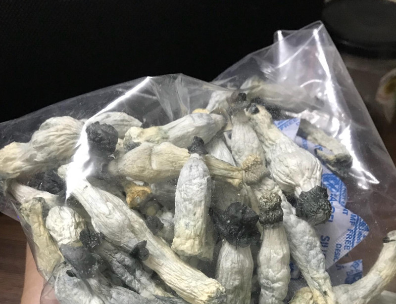 Sắc màu SV 25/6: Ngắm 9X Bách khoa xinh xắn, học giỏi; tệ nạn “nấm thần” bủa vây giới trẻ ảnh 6