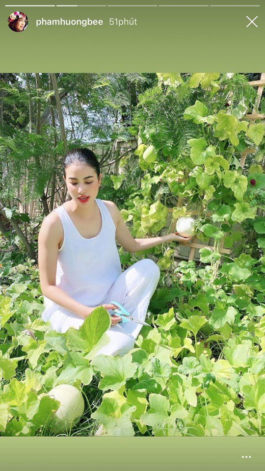 Hương Giang “tình tứ” trên du thuyền cùng bạn trai; Phạm Hương “đẫy đà” vì nghỉ dịch ảnh 17