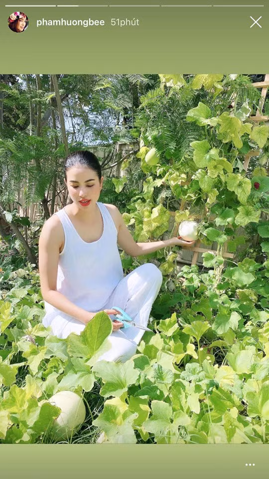 Hương Giang “tình tứ” trên du thuyền cùng bạn trai; Phạm Hương “đẫy đà” vì nghỉ dịch ảnh 17