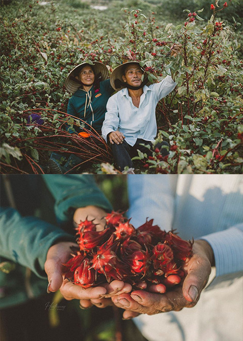 Sắc màu SV 25/6: Ngắm 9X Bách khoa xinh xắn, học giỏi; tệ nạn “nấm thần” bủa vây giới trẻ ảnh 11