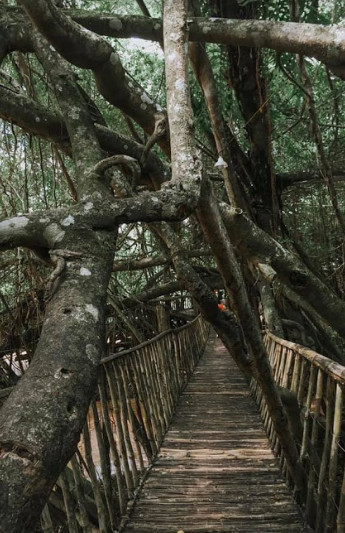 Đi biển gì tầm này, check-in “đổi gió” ngay với phố núi hoang sơ cùng giới trẻ Ban Mê ảnh 8