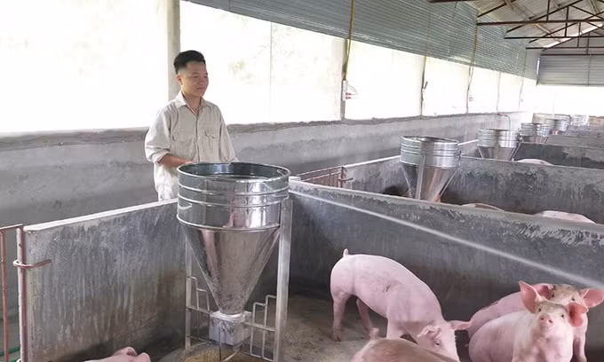 Cất tấm bằng đại học, chàng trai rời thành phố về quê mở trang trại “tiền tỷ“ ảnh 2