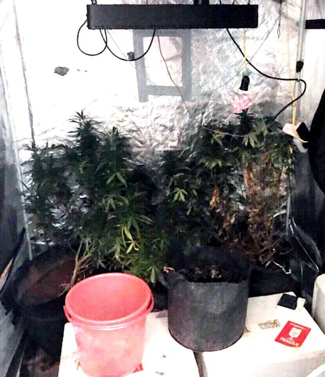 Sắc màu SV 25/6: Ngắm 9X Bách khoa xinh xắn, học giỏi; tệ nạn “nấm thần” bủa vây giới trẻ ảnh 7