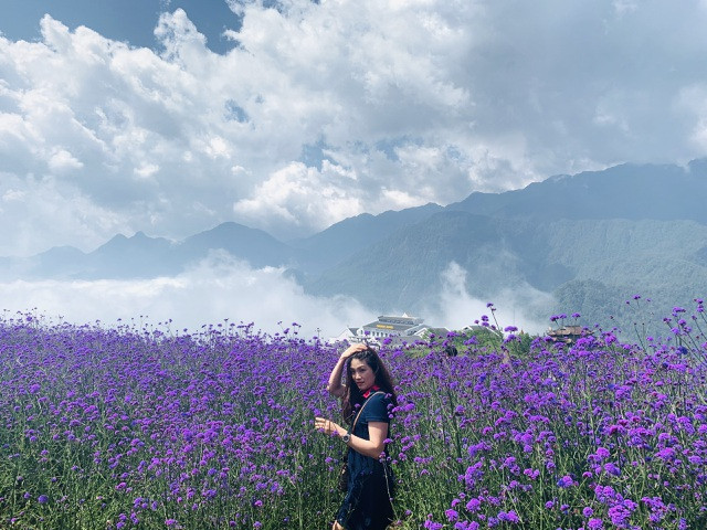 Đồi hoa nhuộm tím Sa Pa: Mở cửa miễn phí, thích “sống ảo” đến đây là chuẩn không cần chỉnh ảnh 6