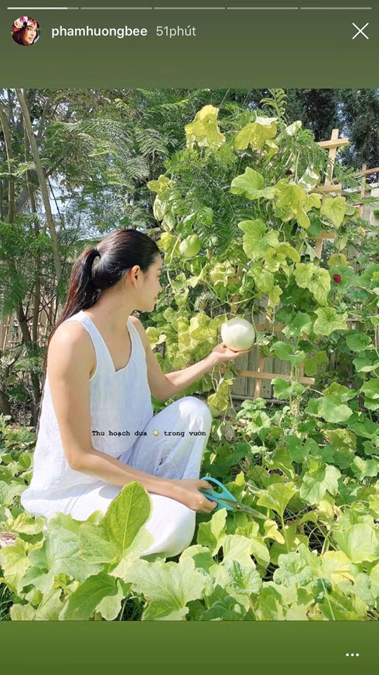 Hương Giang “tình tứ” trên du thuyền cùng bạn trai; Phạm Hương “đẫy đà” vì nghỉ dịch ảnh 16