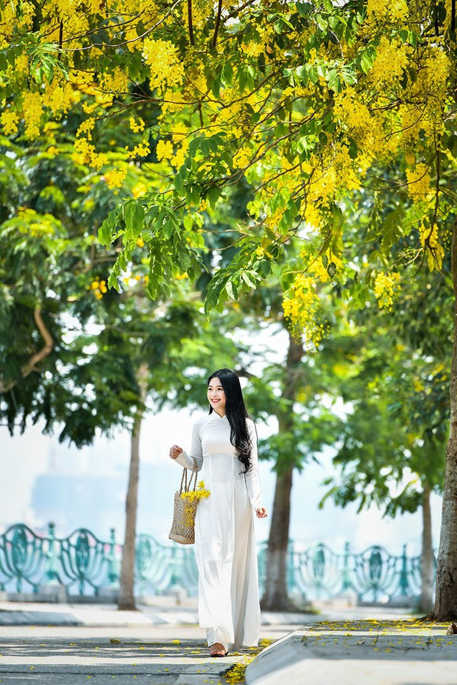 Giới trẻ Hà Nội đổ xô ra hồ Tây “check – in” mùa hoa Muồng hoàng yến ảnh 4