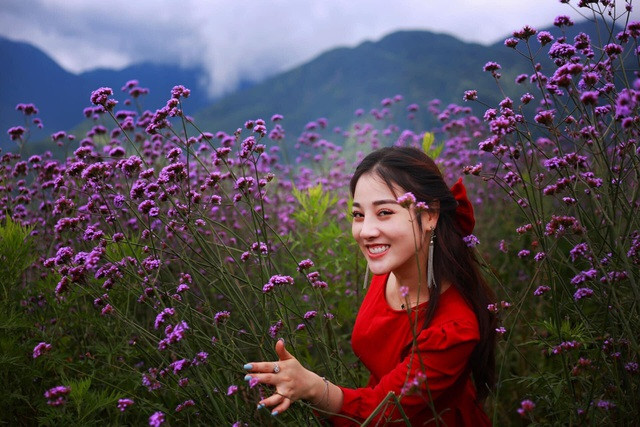 Đồi hoa nhuộm tím Sa Pa: Mở cửa miễn phí, thích “sống ảo” đến đây là chuẩn không cần chỉnh ảnh 8