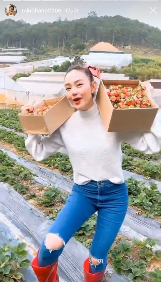 Showbiz Việt 2/5: Trường Giang-Nhã Phương trốn con đi du lịch, Ngọc Trinh sắp lên xe hoa? ảnh 3