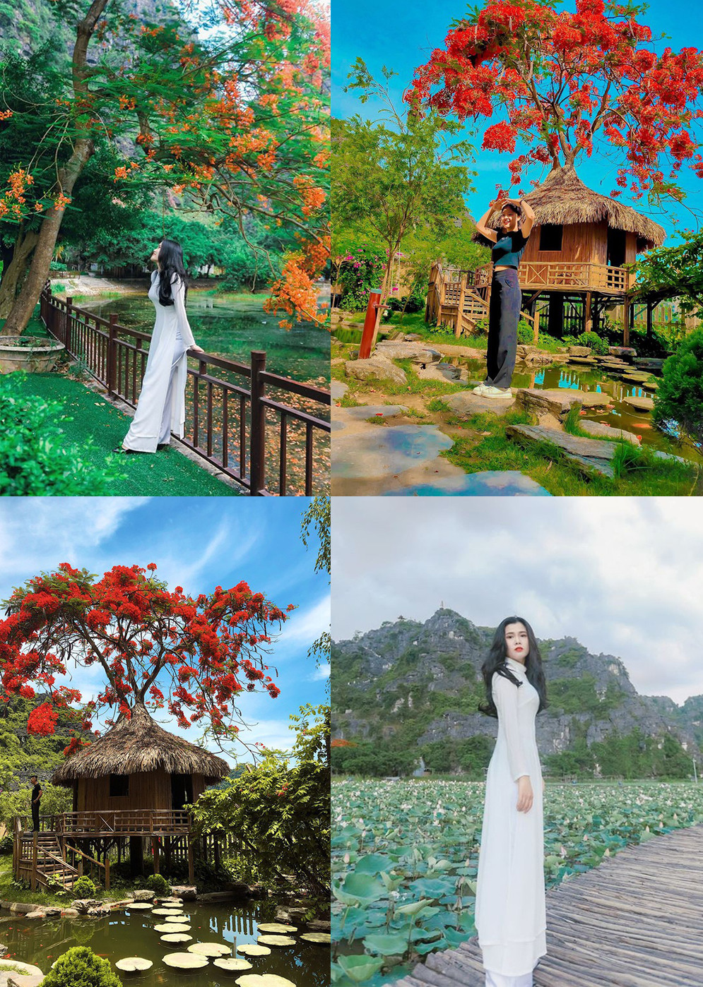 Sắc màu SV 4/7: Chàng trai Việt đỗ 4 ĐH Canada, nữ sinh Olympic Lý thành Hoa khôi ảnh 12