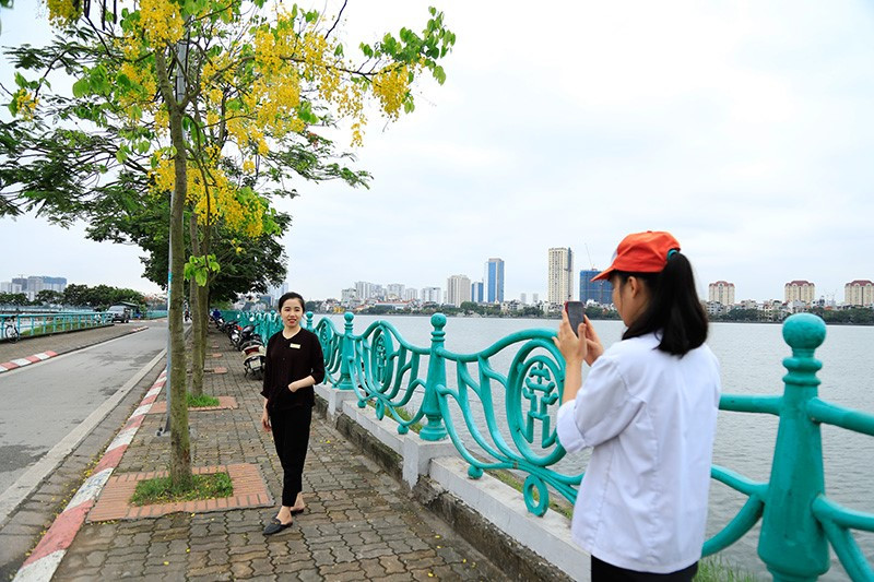 Giới trẻ Hà Nội đổ xô ra hồ Tây “check – in” mùa hoa Muồng hoàng yến ảnh 3