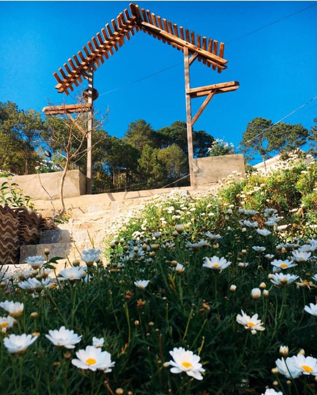 Cặp vợ chồng trẻ bỏ thành phố, lên Đà Lạt xây homestay kiểu Nhật xinh lung linh ảnh 8