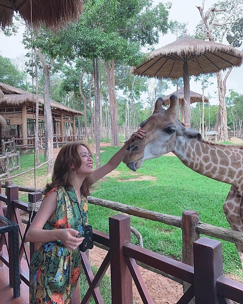 Showbiz 6/6: Đông Nhi mũm mĩm ở tháng thứ tư thai kì, Chi Pu đọ sắc với Ngọc Trinh ảnh 8