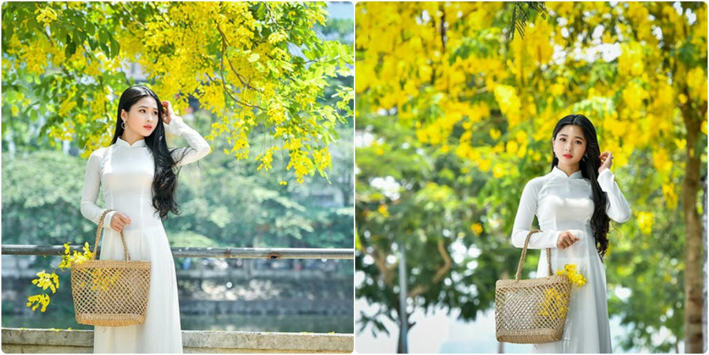 Giới trẻ Hà Nội đổ xô ra hồ Tây “check – in” mùa hoa Muồng hoàng yến ảnh 5