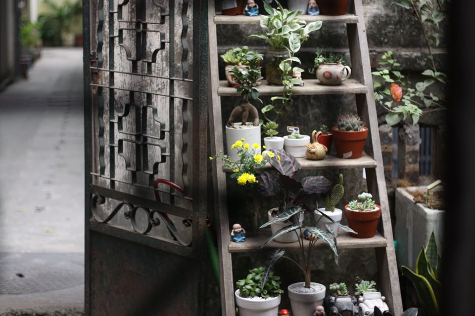  Thư viện “3 không” D Free Book ảnh 6