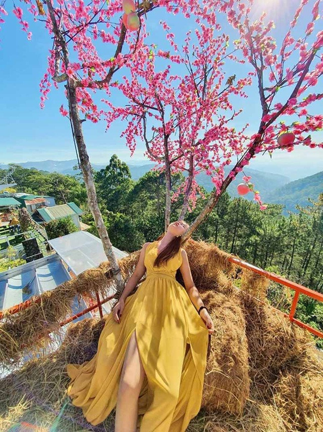 Sắc màu SV 22/7: Hotboy RMIT trở thành MC trẻ nhất VTV7, nữ sinh “ngủ sấp mặt” ở Đà Lạt ảnh 3