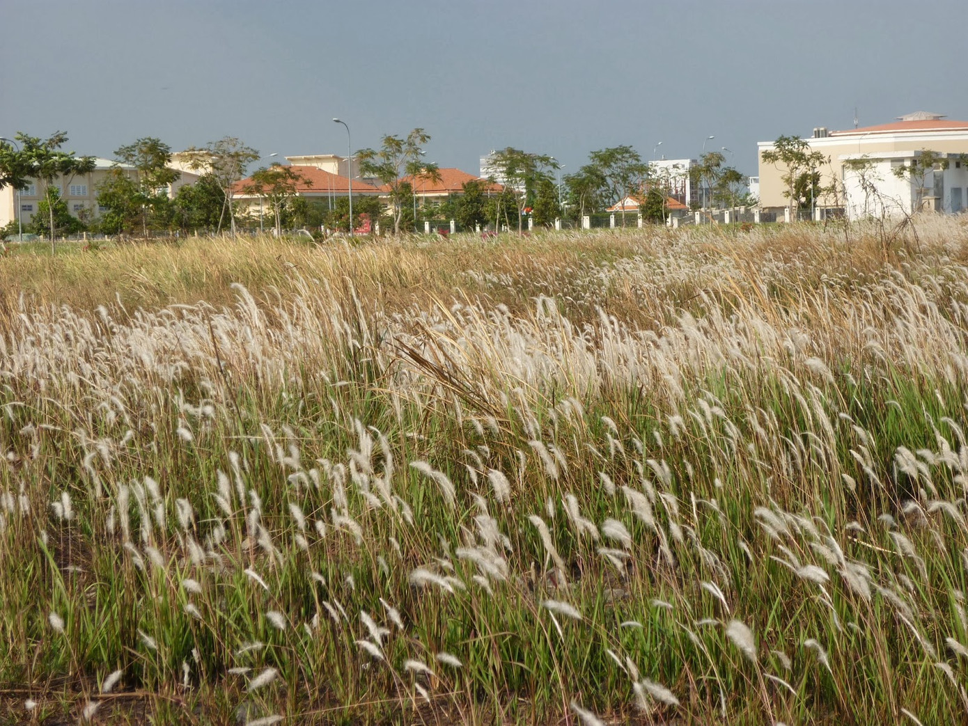 Sắc màu SV 8/7: 9X Hà Nam vào bảng danh dự ĐH Canada, nam sinh 2K3 gây sốt ngày bế giảng ảnh 11