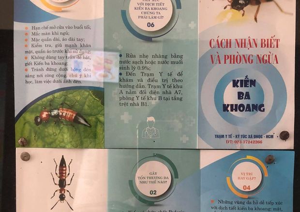 Sắc màu SV 30/6: Bản sao Jisoo bất ngờ nổi tiếng, kiến ba khoang tấn công ký túc xá ảnh 8