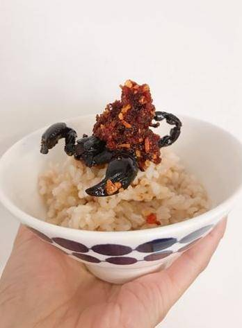 Cô gái nuôi 300 loài côn trùng để làm đồ ăn ảnh 2