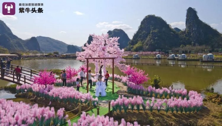 Chàng trai xây ‘đảo tình yêu’ cho bạn gái cũ, không ngờ thành điểm du lịch hút khách ảnh 1