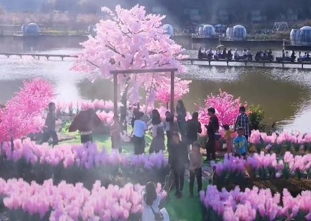 Chàng trai xây ‘đảo tình yêu’ cho bạn gái cũ, không ngờ thành điểm du lịch hút khách ảnh 6