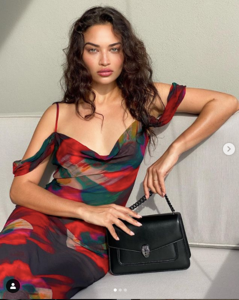 Shanina Shaik khoe dáng siêu mẫu với bikini ảnh 6