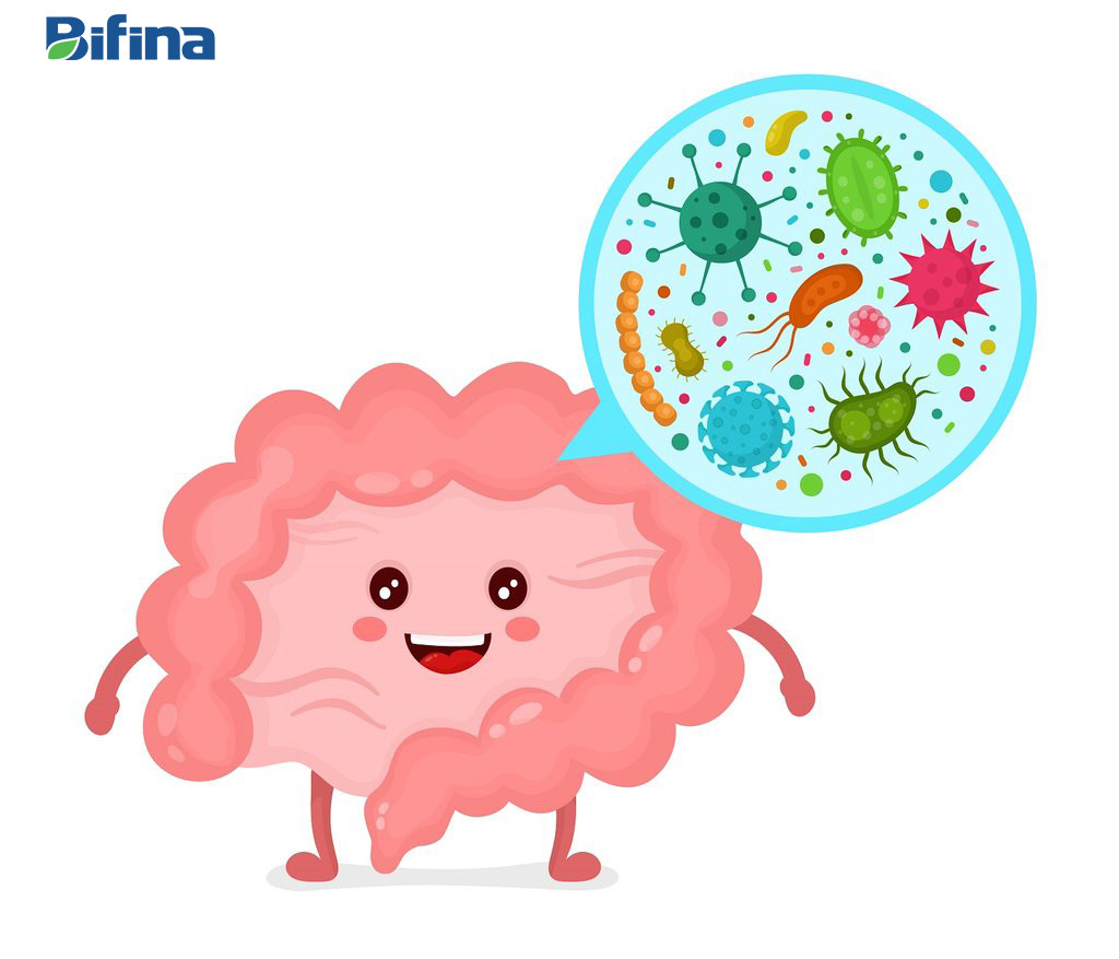 Các cảnh báo khi dùng men tiêu hóa - dùng sai hối hận cả đời ảnh 2