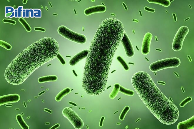 3 sai lầm thường gặp khi dùng men tiêu hóa ảnh 2