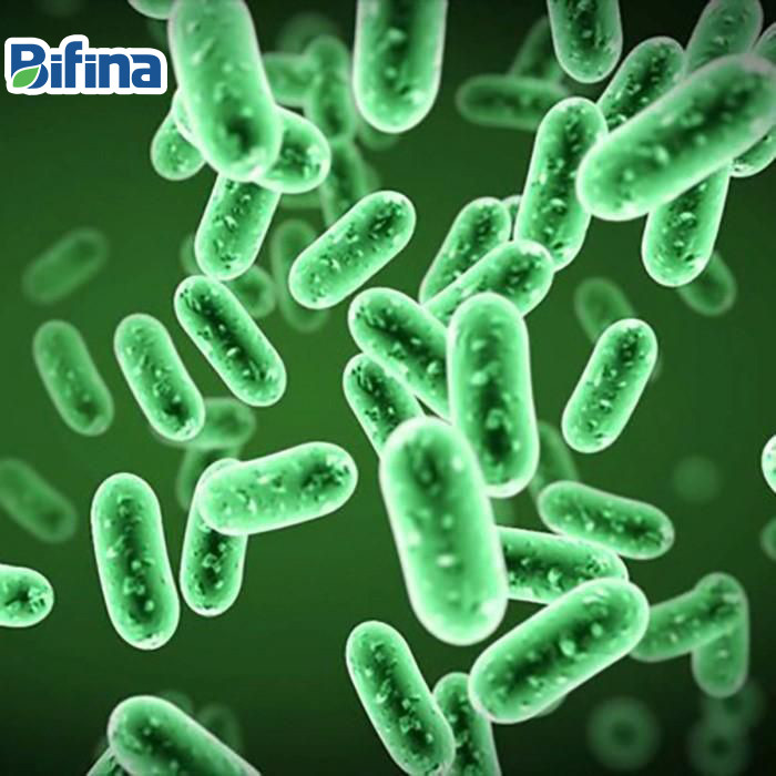 Bà bầu nên dùng 'men tiêu hóa' nào khi bị rối loạn tiêu hóa? ảnh 2