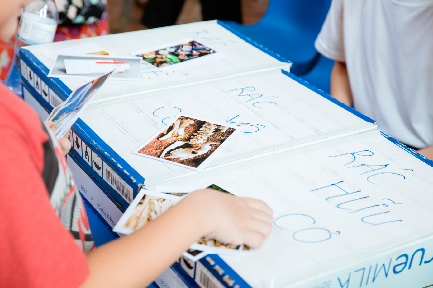 Thế hệ trẻ nhiệt huyết trong các hoạt động vì môi trường ảnh 4