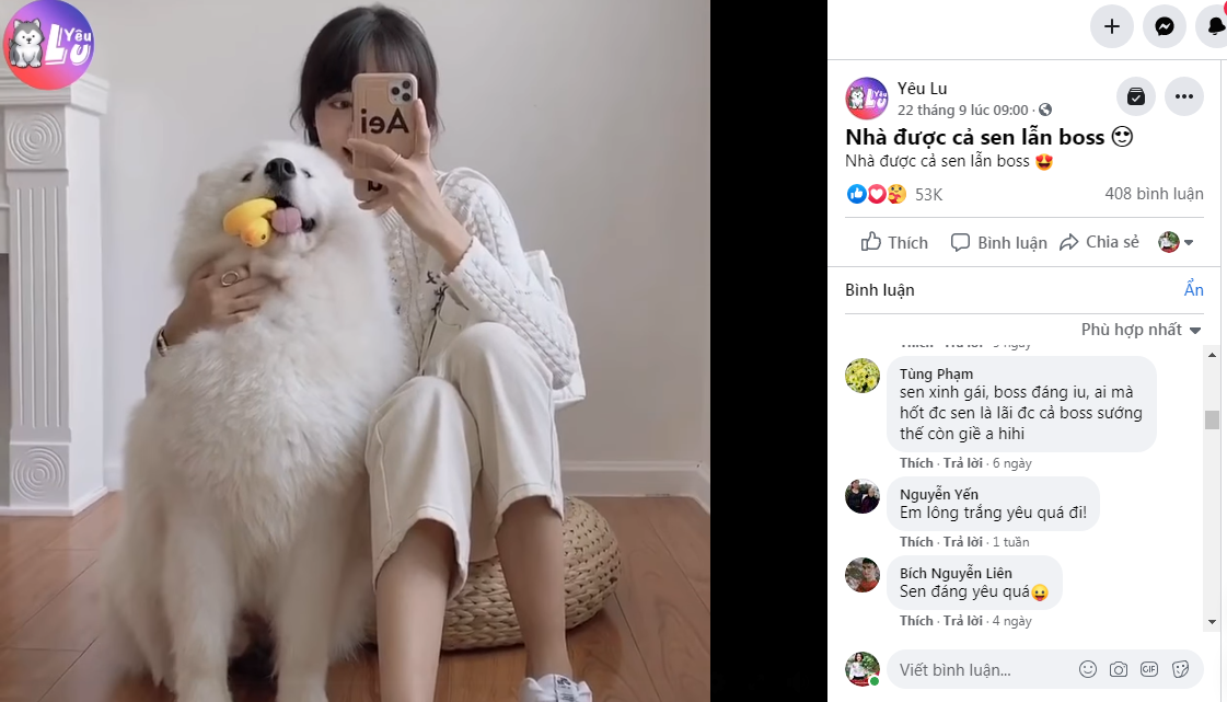 Khám phá Yêu Lu – Fanpage triệu like dành cho những người đam mê thú cưng ảnh 5